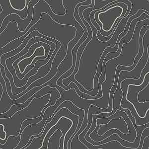 Линолеум FORBO Sarlon Graphic 19dB 919T4319 grey topography фото ##numphoto## | FLOORDEALER